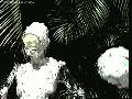 preview pic xxxmess.com